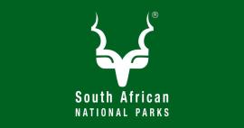 SANParks Enhances Security After Tourists Found Dead in Kruger