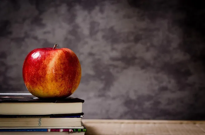 South African Teachers Eyeing Australia Amidst STEM Demand and Local Challenges