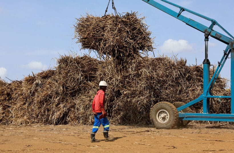 South Africa Hikes Sugar Import Reference Price Amid Industry Woes