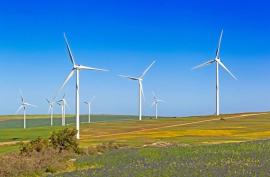 Ramaphosa to Launch 155MW Mpumalanga Wind Facility