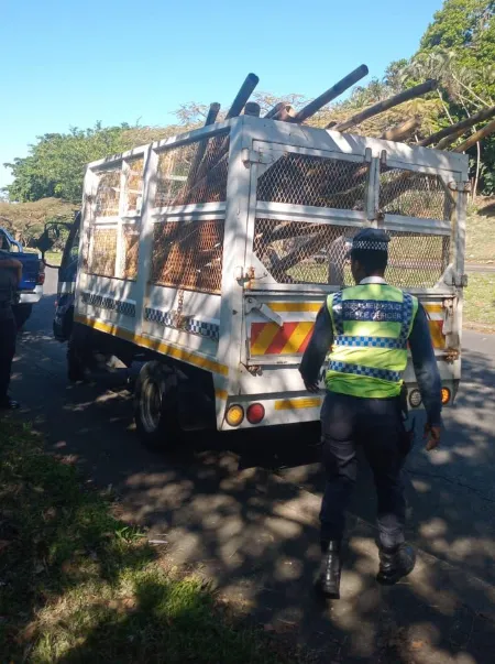 Durban Residents Unite Against Land Invasions Amidst Election Fears