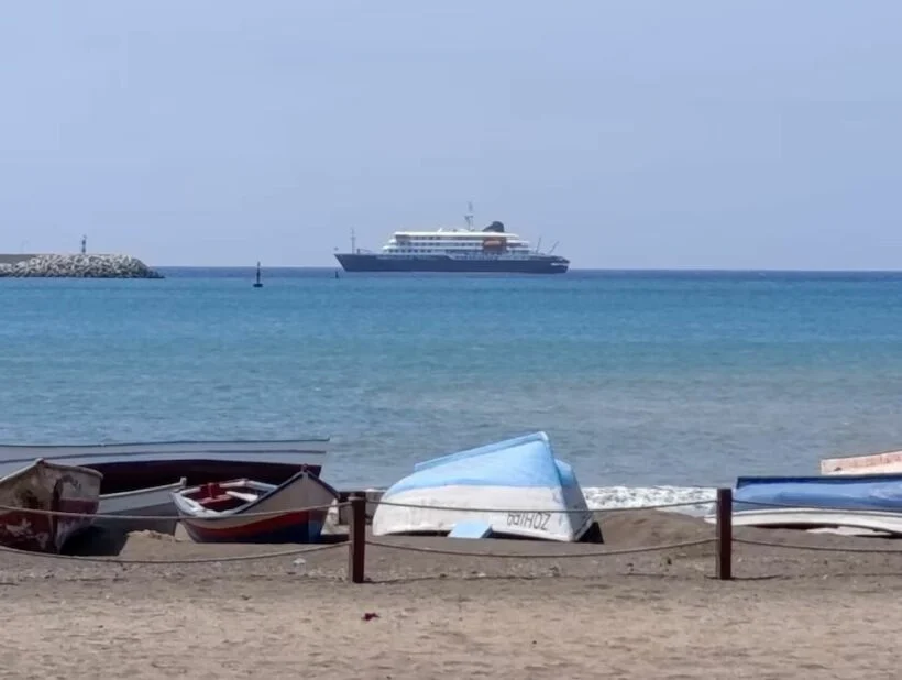 South Africa Confirms Andes Hantavirus Strain on Cruise Ship
