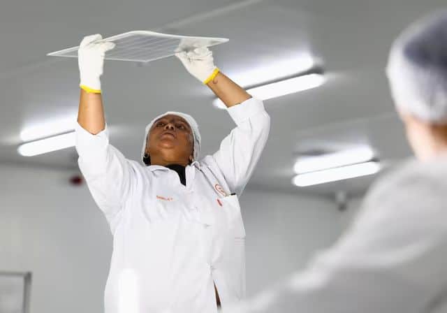 South Africa Faces Green Jobs Gap Amidst Coal Transition