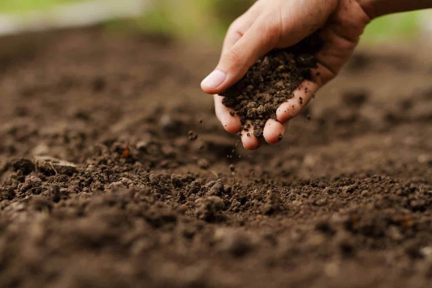 South Africa's Land Reform: A Stalled Promise