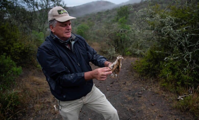 Loziba Wildlife Reserve: A Rewilding Model for Conservation and Community