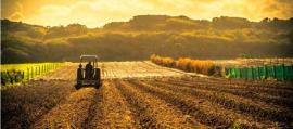 South Africa's GDP Grows 0.5% in Q1 2026 Amidst Global Headwinds