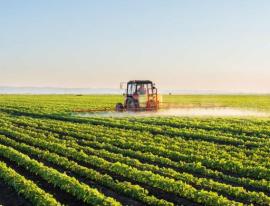 South Africa's Agriculture Sector Needs Deeper Government-Private Sector Collaboration for Growth
