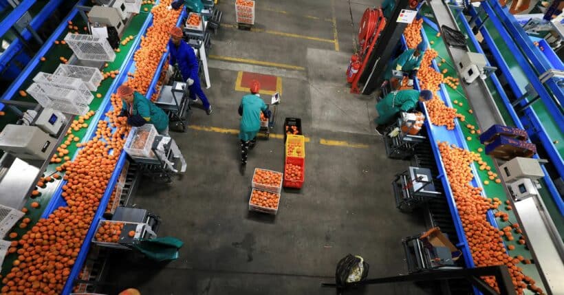 South African Business Confidence Holds Steady Amidst Global Uncertainty
