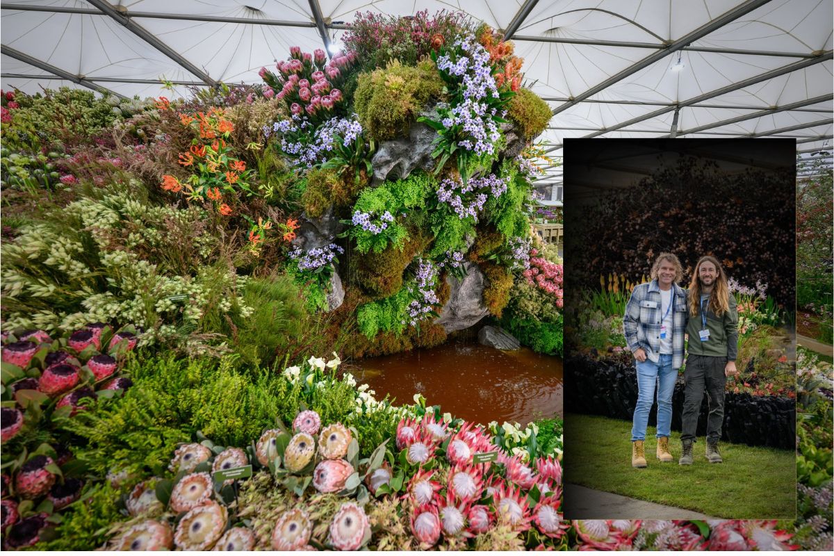 South Africa Achieves Top Honors at RHS Chelsea Flower Show