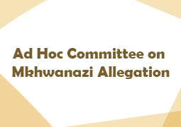 Ad Hoc Committee Debates Interim Report Amid Witness and Wording Disputes